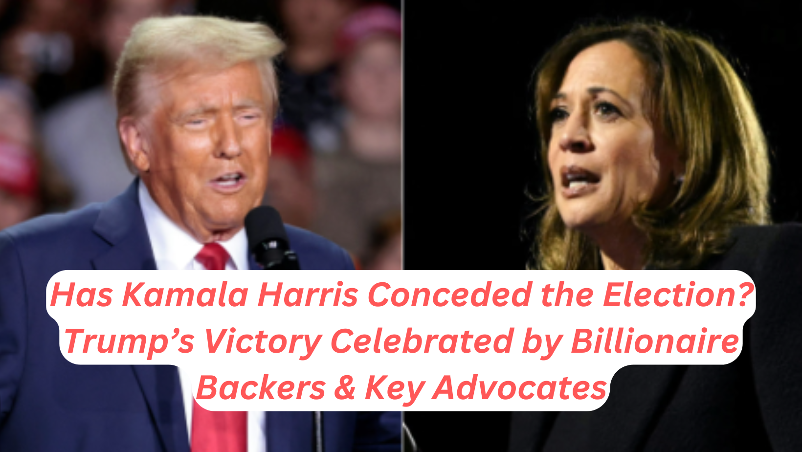 Has Kamala Harris Conceded the Election